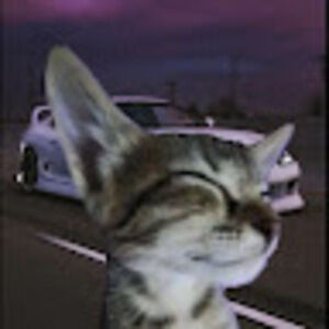 Meet your Posher, Carlucci